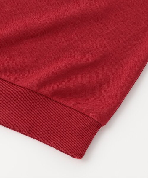 algy（アルジー）の「レースロゴBIGフーディ（パーカー・キッズ・ネイビー/レッド/チャコール・XX-SMALL/X-SMALL/MEDIUM/SMALL）」の11枚目の写真