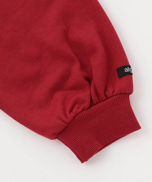 algy（アルジー）の「レースロゴBIGフーディ（パーカー・キッズ・ネイビー/レッド/チャコール・XX-SMALL/X-SMALL/MEDIUM/SMALL）」の19枚目の写真