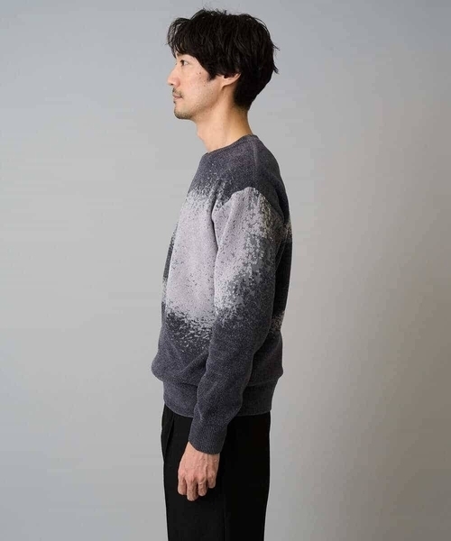 a.v.v（アーヴェヴェ）の「【洗濯機で洗える】モールジャカードボカシ柄ニット（ニット/セーター・メンズ・ベージュ/グレー・46/48）」の13枚目の写真