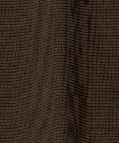 A DAY IN THE LIFE UNITED ARROWS(アデイインザライフユナイテッドアローズ)の「シルケット パールニット リラックス カットソー<A DAY IN THE LIFE>(Tシャツ/カットソー・メンズ・ブラウン系/ライトグレー/ネイビー・L/M)」の7枚目の写真
