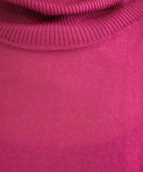 COLLAGE GALLARDAGALANTE（コラージュガリャルダガランテ）の「ハイゲージタートルニット/手洗い可（ニット/セーター・レディース・ホワイト/グレー/サックスブルー/ピンク・FREE）」の13枚目の写真