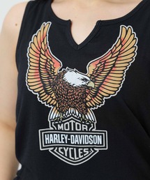 Harley-Davidson（ハーレーダビッドソン）の「クラシック イーグル