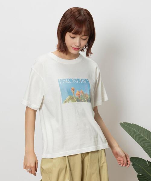 Right-on(ライトオン)の「Other(ソノタ)フォトプリント半袖Tシャツ(Tシャツ/カットソー・レディース・ホワイト×ブルー/ホワイト・S/M/L)」の16枚目の写真