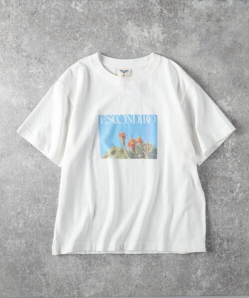 Right-on(ライトオン)の「Other(ソノタ)フォトプリント半袖Tシャツ(Tシャツ/カットソー・レディース・ホワイト×ブルー/ホワイト・S/M/L)」の14枚目の写真