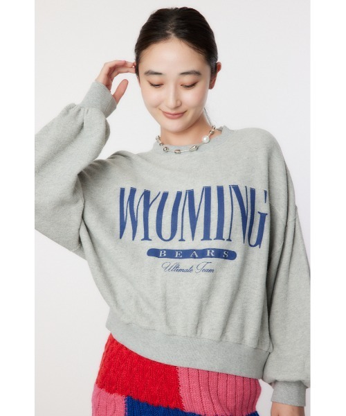 RODEO CROWNS WIDE BOWL（ロデオクラウンズワイドボウル）の「WYOMING SW TOPS（スウェット・レディース・ブラウン/ピンク/グレー×ホワイト/ブルー・FREE）」の2枚目の写真