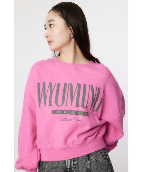 RODEO CROWNS WIDE BOWL（ロデオクラウンズワイドボウル）の「WYOMING SW TOPS（スウェット・レディース・ブラウン/ピンク/グレー×ホワイト/ブルー・FREE）」の4枚目の写真