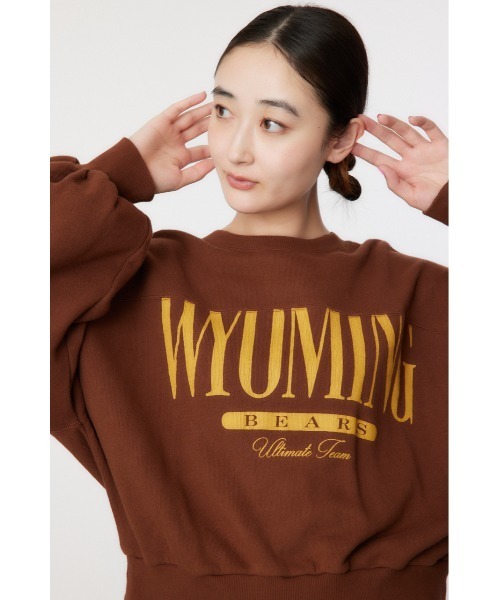 RODEO CROWNS WIDE BOWL（ロデオクラウンズワイドボウル）の「WYOMING SW TOPS（スウェット・レディース・ブラウン/ピンク/グレー×ホワイト/ブルー・FREE）」の6枚目の写真