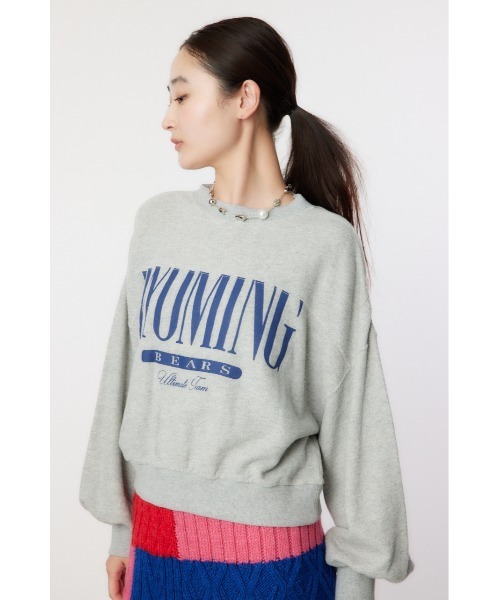 RODEO CROWNS WIDE BOWL（ロデオクラウンズワイドボウル）の「WYOMING SW TOPS（スウェット・レディース・ブラウン/ピンク/グレー×ホワイト/ブルー・FREE）」の11枚目の写真