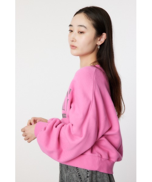 RODEO CROWNS WIDE BOWL（ロデオクラウンズワイドボウル）の「WYOMING SW TOPS（スウェット・レディース・ブラウン/ピンク/グレー×ホワイト/ブルー・FREE）」の17枚目の写真