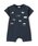 petit mainiveB}Cj́uyNzԎhイJo[I[ip[Xjvb`R[