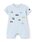 petit mainiveB}Cj́uyNzԎhイJo[I[ip[XjvbCgu[