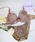 SaneiiTGCj́uymC[zNNmC[ŃXgX0!!!t[`FbNvgI{ꂳxUP!!t䂫Ă܂iu&V[cjvbuE