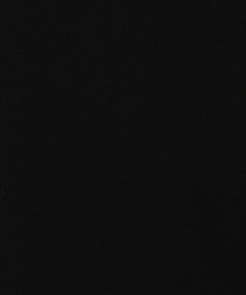 NOLLEY'S LIGHT(ノーリーズライト)の「《ビジカジ対応》MVS ポンチジャケT ロングスリーブ(Tシャツ/カットソー・メンズ・ブラック/グレイッシュベージュ/ホワイト・M/L/S)」の10枚目の写真