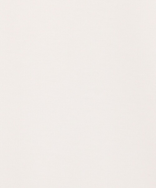 NOLLEY'S LIGHT(ノーリーズライト)の「《ビジカジ対応》MVS ポンチジャケT ロングスリーブ(Tシャツ/カットソー・メンズ・ブラック/グレイッシュベージュ/ホワイト・M/L/S)」の14枚目の写真