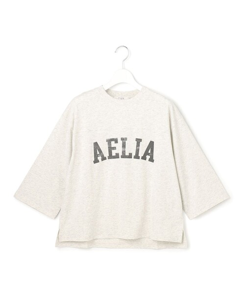 23区 S（ニジュウサンクチイサイサイズ）の「リラックス ロゴTシャツ（Tシャツ/カットソー・レディース・スカイブルー系/ライトグレー系/ホワイト系/ダークブラウン系・32）」の7枚目の写真