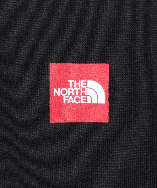 THE NORTH FACE（ザノースフェイス）の「ショート スリーブ スモール ボックス ロゴ ティー S/S Small Box Logo Tee NT31955（Tシャツ/カットソー・メンズ・ブラック/ホワイト/グレー/ネイビー・LARGE/SMALL/X-LARGE/MEDIUM）」の16枚目の写真