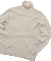 MEN'S BIGI | 12G ジャガード織りハイゲージタートルニット(ニット/セーター)