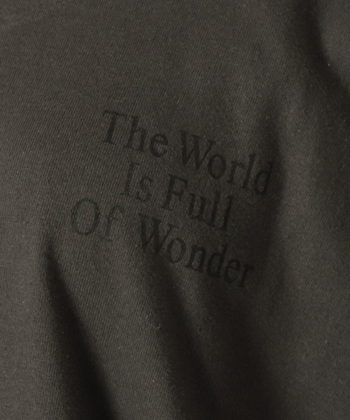 JOURNAL STANDARD（ジャーナルスタンダード）の「BACK LOGO WORLD Tシャツ（Tシャツ/カットソー・レディース・ピンク/ホワイト/グリーン/ブラック系その他2・FREE）」の7枚目の写真