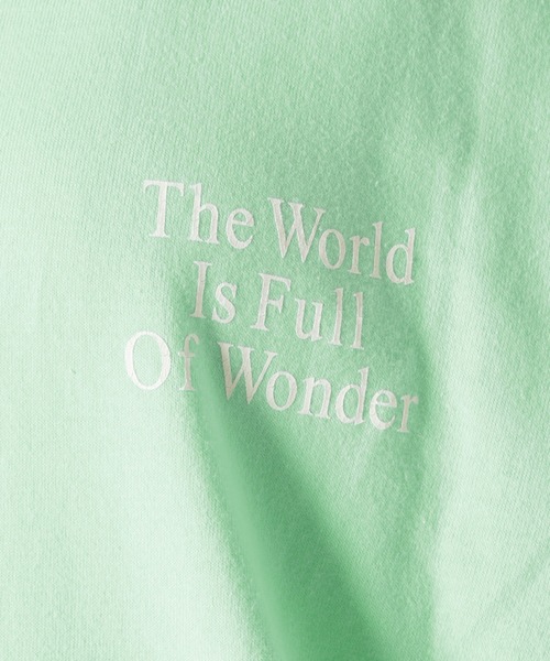 JOURNAL STANDARD（ジャーナルスタンダード）の「BACK LOGO WORLD Tシャツ（Tシャツ/カットソー・レディース・ピンク/ホワイト/グリーン/ブラック系その他2・FREE）」の12枚目の写真