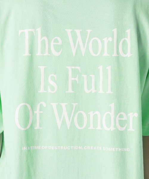 JOURNAL STANDARD（ジャーナルスタンダード）の「BACK LOGO WORLD Tシャツ（Tシャツ/カットソー・レディース・ピンク/ホワイト/グリーン/ブラック系その他2・FREE）」の13枚目の写真