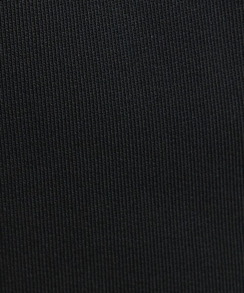 BEAUTY&YOUTH UNITED ARROWS（ビューティーアンドユースユナイテッドアローズ）の「コットン裏毛 スウェットパンツ（スウェットパンツ・レディース・グレー/ブラック・M/S）」の17枚目の写真