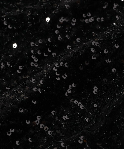 B:MING by BEAMS(ビーミングバイビームス)の「スパンコール ビスチェ(ベスト・レディース・ブラック/シルバー・ONE SIZE)」の17枚目の写真