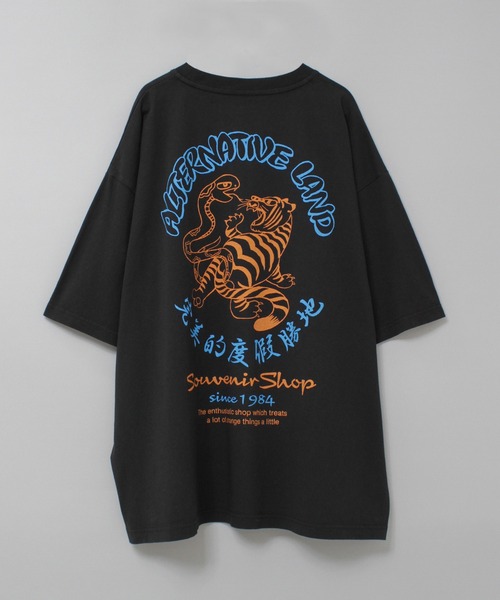 RNA ヘビトラBIG T