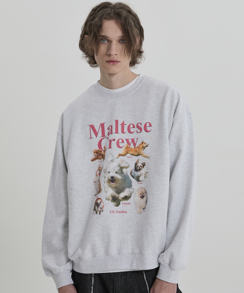 WaiKei（ワイケイ）の「マルチーズクルーマンツーマンメランジホワイト（スウェット・レディース・その他・1/2）」の2枚目の写真