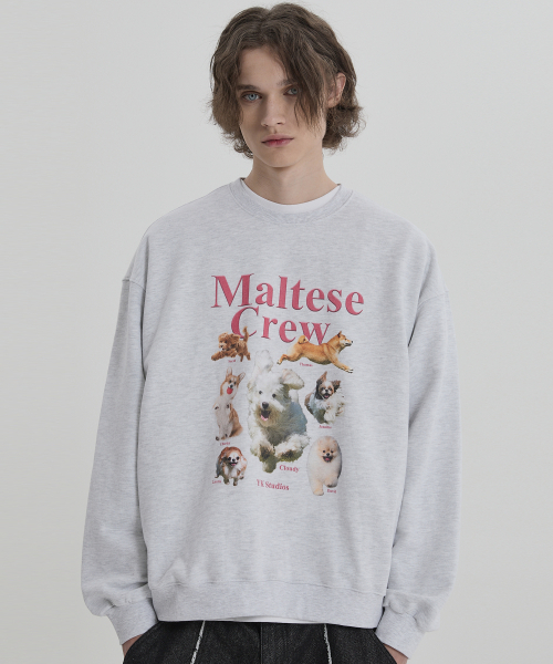 WaiKei（ワイケイ）の「マルチーズクルーマンツーマンメランジホワイト（スウェット・レディース・その他・1/2）」の3枚目の写真