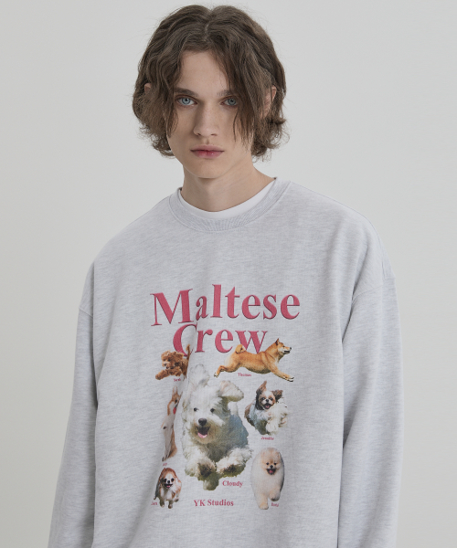 WaiKei（ワイケイ）の「マルチーズクルーマンツーマンメランジホワイト（スウェット・レディース・その他・1/2）」の4枚目の写真