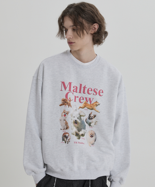 WaiKei（ワイケイ）の「マルチーズクルーマンツーマンメランジホワイト（スウェット・レディース・その他・1/2）」の5枚目の写真