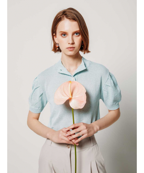 Puff Sleeve Pastel Polo — пастельное поло с пышными рукавами