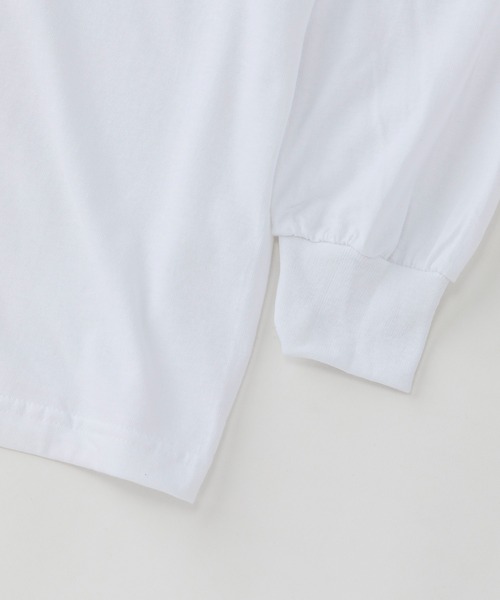 KAVU(カブー)の「KAVU/カブー 22 Dog LS Tee/22 ドッグ ロングスリーブ Tシャツ(Tシャツ/カットソー・メンズ・グレー/ホワイト/ミント・X-LARGE/MEDIUM/LARGE)」の5枚目の写真