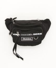 Dickies/ディッキーズ ミニショルダー ウェストバッグ DK FRAME LOGO WAIST BAG
