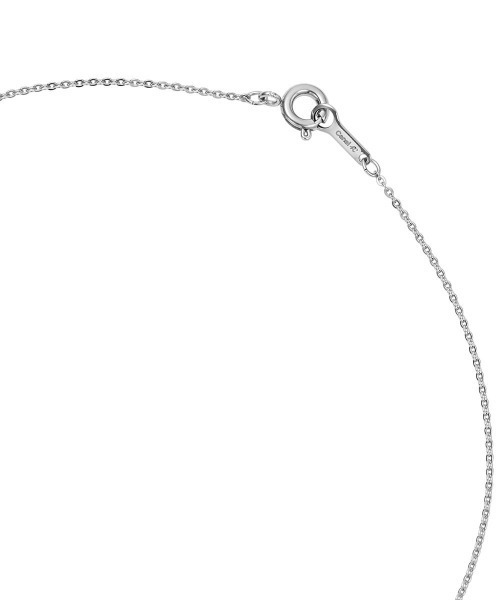 Canal 4℃(カナルヨンドシー)の「【WEB限定】ステンレス ネックレス(ネックレス・レディース・シルバー・FREE)」の3枚目の写真