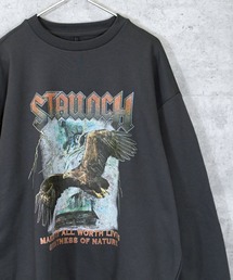 TC 裏毛 クルーNプリント(STAUNCH) レディース メンズ