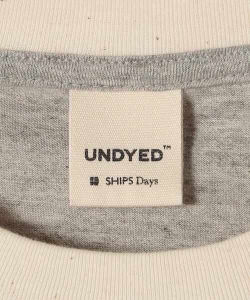 SHIPS Days（シップスデイズ）の「【SHIPS DAYS別注】UNDYED: プリント ショートスリーブ Tシャツ（Tシャツ/カットソー・メンズ・ナチュラル/グレー・3/2）」の3枚目の写真