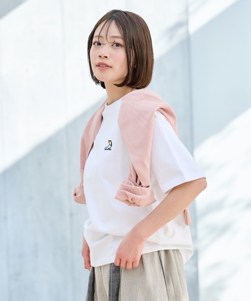 Arnold Palmer（アーノルドパーマー）の「ヘビーウエイト 天竺 シェア 半袖 Tシャツ（Tシャツ/カットソー・レディース・イエロー/ホワイト/モスグリーン/ブラック・XS/M/LL/S/L）」の9枚目の写真