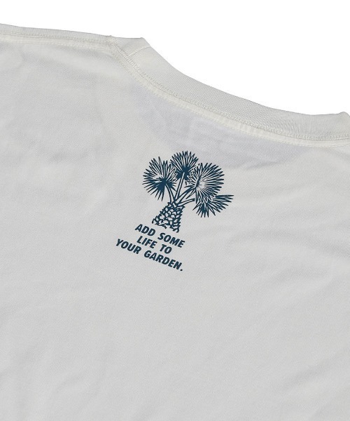 DULTON（ダルトン）の「BOTANY T-SHIRT/ボタニー Tシャツ（Tシャツ/カットソー・メンズ・ホワイト/チャコールグレー/グリーン・XL/L/M/S）」の13枚目の写真