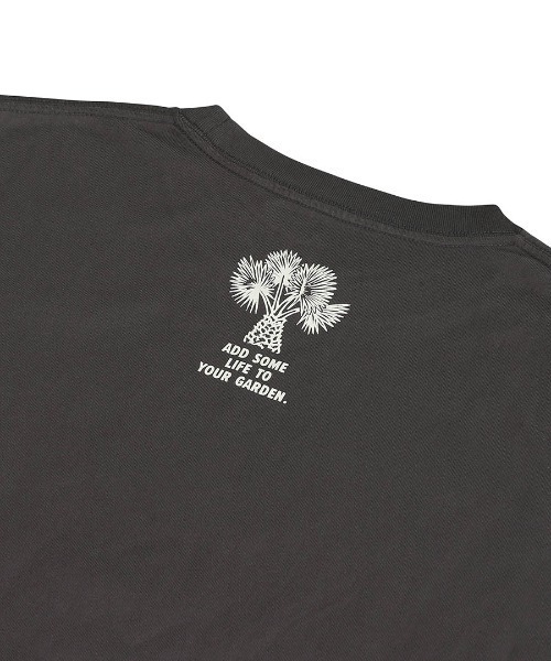 DULTON（ダルトン）の「BOTANY T-SHIRT/ボタニー Tシャツ（Tシャツ/カットソー・メンズ・ホワイト/チャコールグレー/グリーン・XL/L/M/S）」の14枚目の写真