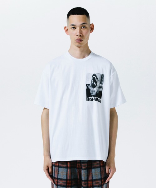 DOG PHOTO TEE（Tシャツ/カットソー）｜ROTTWEILER（ロット