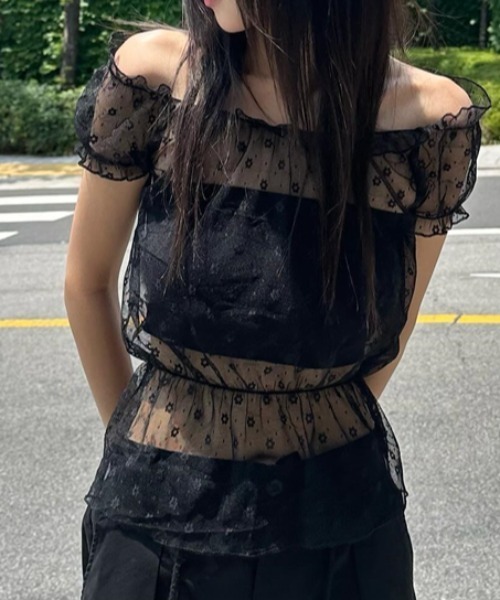 Per sist ence(パーシエンス)の「シアーレース半袖トップス/オフショル2WAY(Tシャツ/カットソー・レディース・ホワイト/ブラック・ONE SIZE)」の1枚目の写真