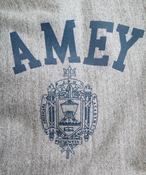 AMERICANA（アメリカーナ）の「[Americana/アメリカーナ] カレッジプリント スウェットフーディー（パーカー・レディース・グレー/チャコールグレー・M）」の11枚目の写真