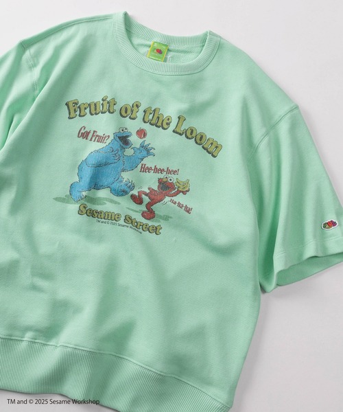 FRUIT OF THE LOOM(フルーツオブザルーム)の「【73】【Fruit of the Loom/フルーツオブザルーム】SESAMI STREETコラボ キャラクターデザイン パフスリーブス ウェットTシャツ(Tシャツ/カットソー・メンズ・ミント/パープル/アイボリー/ブラック・S/M/L)」の1枚目の写真