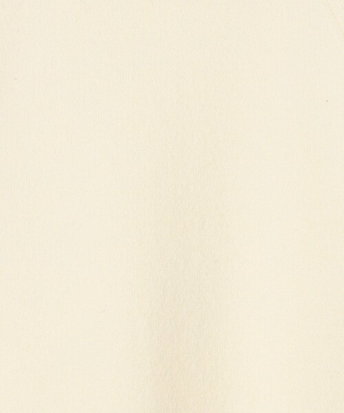 GALERIE VIE(ギャルリー ヴィー)の「スエットニット クルーネックプルオーバー(ニット/セーター・レディース・グレー/ネイビー/ホワイト・FREE)」の12枚目の写真