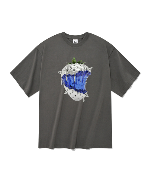 RADINEO(ラディネオ)の「クロムベリー 半袖Tシャツ グレー(Tシャツ/カットソー・メンズ・その他・X-LARGE/SMALL/MEDIUM/LARGE)」の1枚目の写真