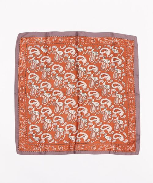 N.（N. Natural Beauty Basic）（エヌエヌナチュラルビューティーベーシック）の「ペイズリースカーフ（ストール/ショール・レディース・ベージュ系その他/レッド系その他・ﾌﾘ-）」の3枚目の写真