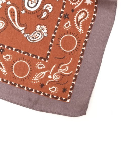 N.（N. Natural Beauty Basic）（エヌエヌナチュラルビューティーベーシック）の「ペイズリースカーフ（ストール/ショール・レディース・ベージュ系その他/レッド系その他・ﾌﾘ-）」の6枚目の写真