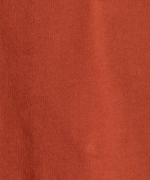 SHIPS any(シップス エニィ)の「SHIPS any: ミニ裏毛 コクーン プルオーバー〈UVカット〉(Tシャツ/カットソー・レディース・チャコールグレー/ホワイト/レンガ・ONE SIZE)」の9枚目の写真