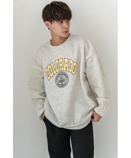 DEVICE(デバイス)の「Geographical Sweat オーバーサイズ プルオーバー カレッジロゴ ビッグシルエット スウェット トレーナー(スウェット・レディース・ブラック/ネイビー/グリーン/ブラック×ホワイト/グレー系その他/グレー系その他2/グレー系その他3/グリーン系1/グレー/トップグレー/ミックスグレー・FREE)」の19枚目の写真